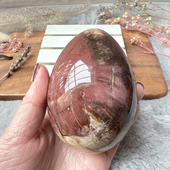 Gorgeous Large Petrified Wood Egg - Picture 3 of 9